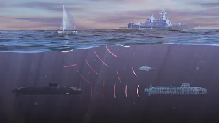 #MoreToSea - All the mysteries about sonar
