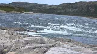 Rapids on the Leaf River - 2015