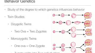 Introduction to Psychology:  2.3 - Genes and Behavior