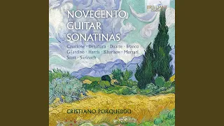 Sonatina III - Il flauto nel bosco