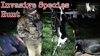 Shooting Feral Cats, Indian Myna Birds, Pigeons & Rabbits || Thermal Hunting || FX Impact M3 & 6BR