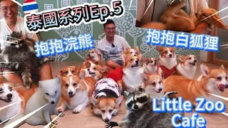 [Thailand Series Ep.5 Bangkok On Nut] Raccoon White Fox Animal Cafe｜50 Corgis and Kittens 👩🏼‍❤️‍👨🏻