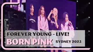 블랙핑크(BLACK PINK) ‘Forever Young’ | BORN PINK - Sydney Australia 2023 #blackpink [4K FANCAM]
