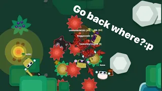 STARVE.IO | KILL + RAID COMPILATION | I´M BACK!!!