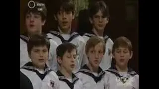 Vienna  Boys Choir   Wiener Sängerknaben  J  Strauß The Blue Danube