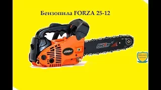 Бензопила FORZA 25-12. Тех. характеристики. Первый пуск. Замер компрессии. (печальный результат).