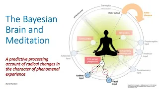 The Bayesian Brain and Meditation