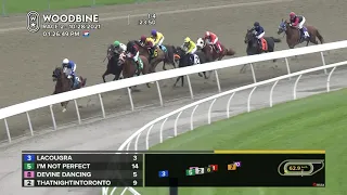 Woodbine, Tbred, October 28, 2021 Race 2