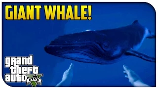 GTA 5 PS4 / Xbox One - GIANT HUMPBACK WHALE! (Rare Location) [GTA V]