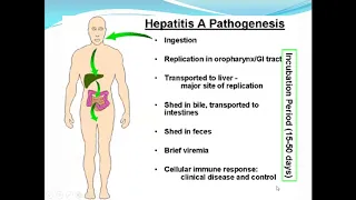 Acute Viral Hepatitis by Dr Naseer Memon ( Paeds ) held on 24th August 2020