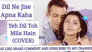 Yeh Dil Toh Mila Hain(cover) |DIL NE JISE APNA KAHA| {Alka Yagnik & Sonu Nigam hit}