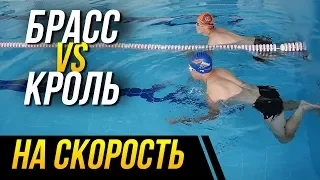 Кроль vs Брасс на скорость. Кто победит в заплыве на 50 метров?