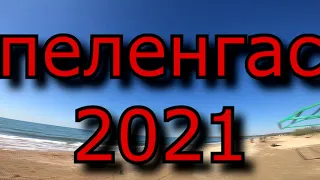 Рыбалка в Крыму пеленгас 2021 новоотрадное