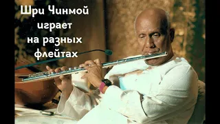 Флейтовая музыка Шри Чинмоя