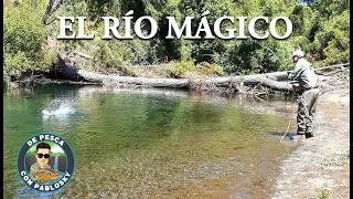 NATURALEZA Y PESCA EN UN RÍO MÁGICO DE LA ARAUCANÍA!!