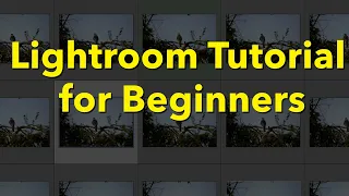 Lightroom (Classic) Tutorial for Beginners 2023