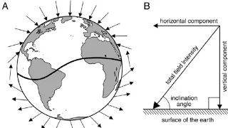 49. Horizontal component of earth's magnetic field and angle of dip