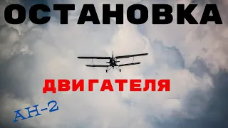 АН-2  на высоте 300 метров...