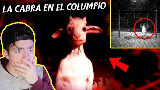 El CASO de LA CABRA EN EL COLUMPIO (Historia real)