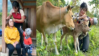 The 20-year-old single mother is seriously ill - buying medicine and taking care of her newborn calf