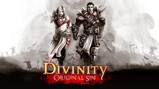 Mysterious Guest | Divinity: Original Sin