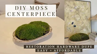 DIY LIVE MOSS CENTERPIECE | Restoration Hardware Dupe