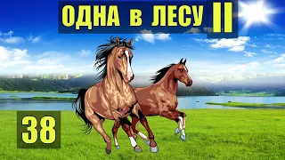 ЖИЗНЬ в ПЕЩЕРЕ НА ЗИМУ КОНСЕРВАЦИЯ - ЗАГОТОВКИ ОХОТА ВЫЖИВАНИЕ ОДНА В ЛЕСУ СУДЬБА РОБИНЗОН 38