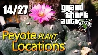 GTA 5 - Peyote Plant Locations (14/27)