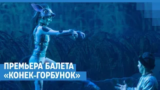 Балет «Конек-Горбунок» в НОВАТе | NGS.RU