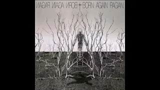 Born Again. Born Again Pagan Год выхода: 2005 (recorded in 1969-1972, 1999-2004)