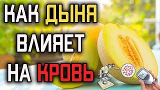 Как дыня влияет на кровь | Эксперимент с глюкометром и микроскопом