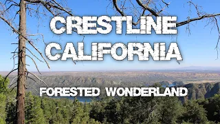 Forested Wonderland (Crestline, California)