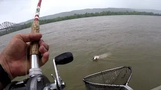 Catfishing The Tennessee River! Catching Catfish In High, Muddy Water