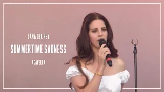 Lana Del Rey — Summertime Sadness (Acapella)