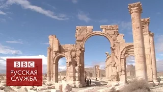 Пальмира после освобождения: многие памятники уцелели