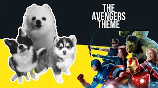 The Avengers Theme but it's Doggos and Gabe