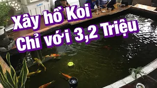 Xây hồ Koi chỉ với 3,2 triệu | Cách xây hồ cá Koi đơn giản