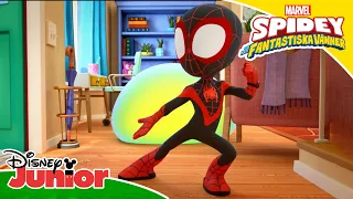 🧪När experimentet går fel | Spidey och hans fantastiska vänner | Disney Junior Sverige