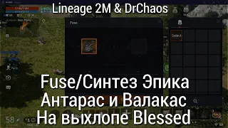 Lineage 2M & DrChaos - Fuse или Синтез Эпика/Антарас и Валакас/В итоге Blessed
