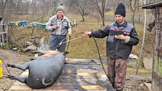 Tradiții Ciobanesti Românești cu FRATII GOSPODARU'.Aproape de sărbători.LA PIETRICEAUA.