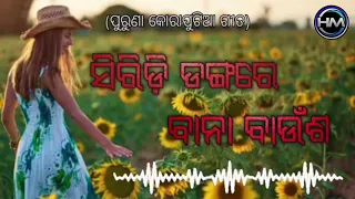 Siridhi Dangare Bana Bahucha old karaputia desia song production by @hemantamuduliproduction