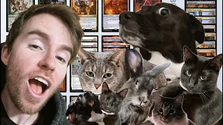 Mutation Zoo!? Modern RC Denver Deck Tech