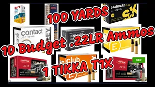 100 yards, 10 Budget .22LR Ammunitions and 1 TIKKA T1X. Shooting groups on the Cheap