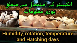 Eggs Incubator Use Full Information In Easy Way || Humidity, Temperature, Hatching All here