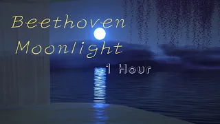 Beethoven Moonlight Sonata 1 hour | 베토벤 월광 소나타 1시간