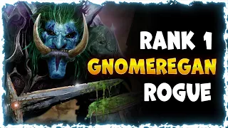 Rank 1 Rogue Gnomeregan (500 Avg DPS) - Season of Discovery