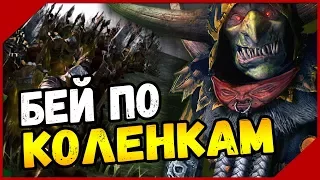 Total War: Warhammer - Кампания Гоблины [LEGENDARY] #1