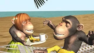 Funny Good Morning Song. Monkeys sing Good Morning