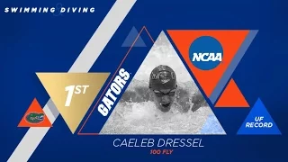 Florida Swimming: Caeleb Dressel 100 Fly NCAA Champion