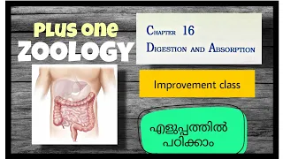 Digestion and absorption Plus one Zoology Improvement class Malayalam explanation